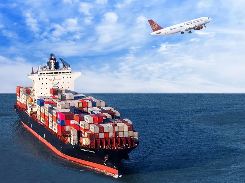 DOHYEE Entrega rápida y servicio global